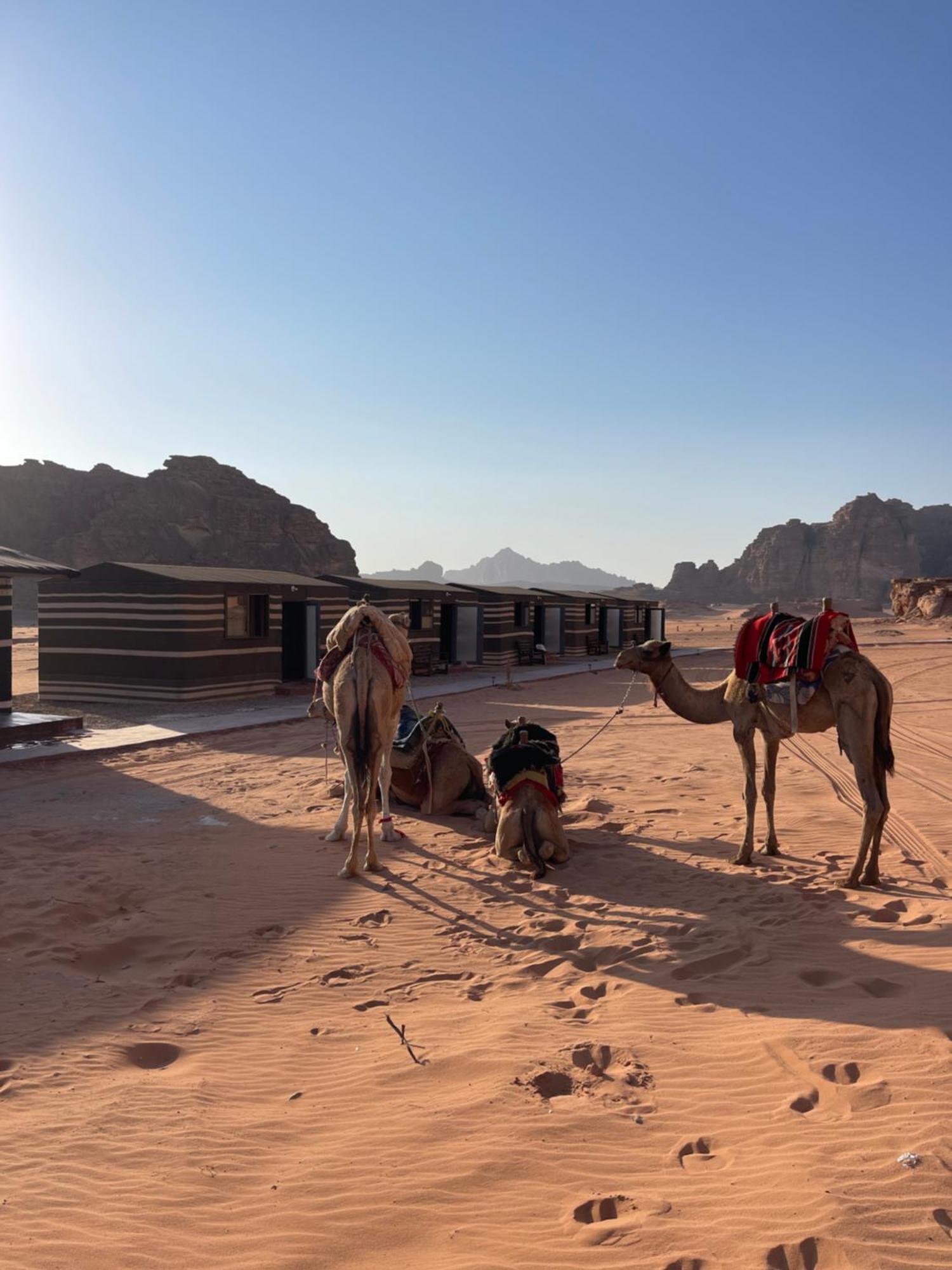 Wadi Rum Star Camp Exterior foto